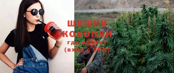 соль ск Пересвет