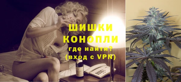 соль ск Пересвет