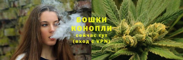 винт Переславль-Залесский