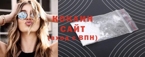 соль ск Пересвет