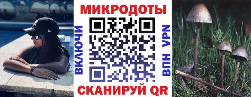 Галлюциногенные грибы Psilocybine cubensis  даркнет официальный сайт  Старица  цены  