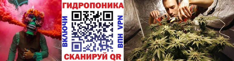 цена Старица Бошки марихуана Ganja